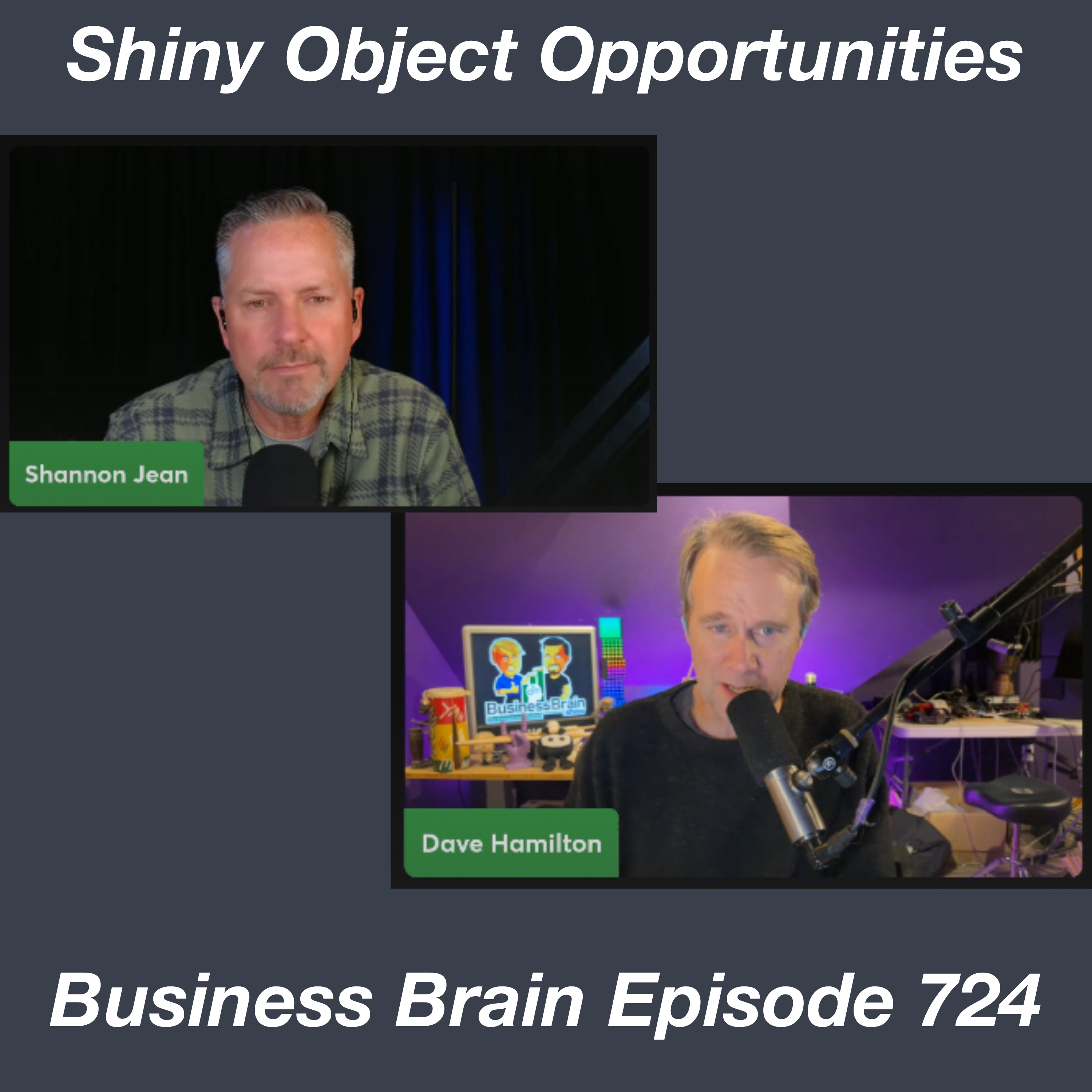 Shiny Object Opportunities – Business Brain 724