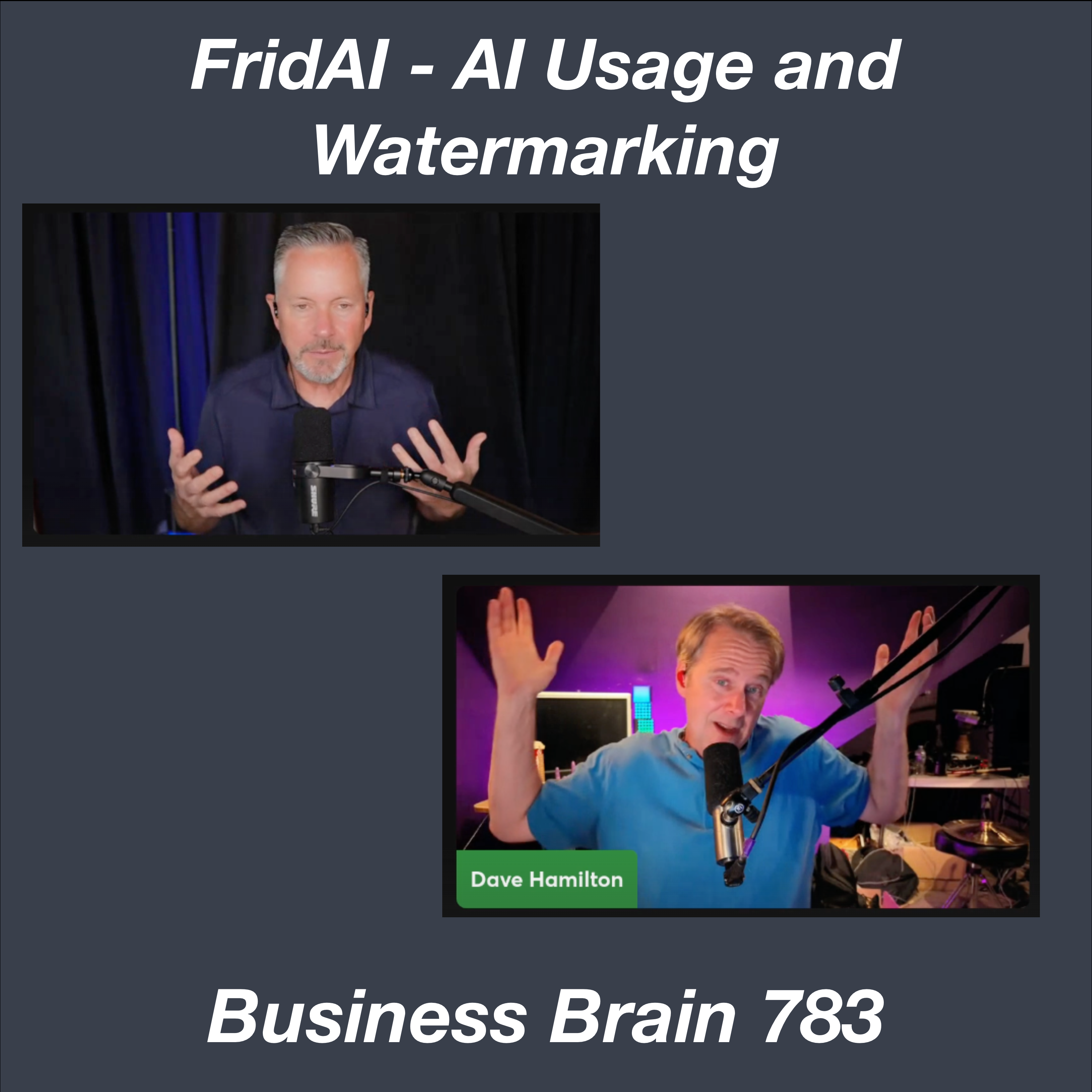 FridAI - AI Usage and Watermarking